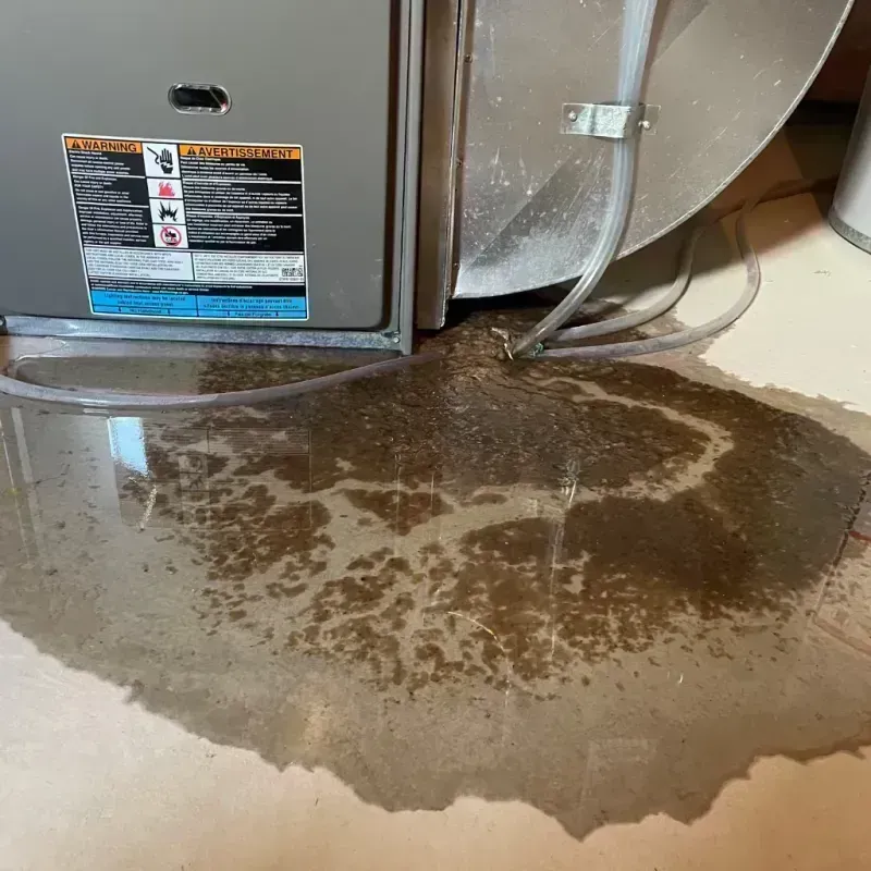 Appliance Leak Cleanup in Woodridge, IL